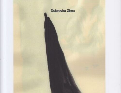 Hodanje : poglavlja iz kulturne povijesti