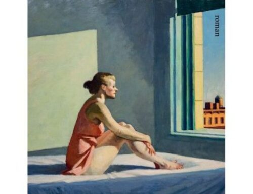 Kafić Dan : [roman]